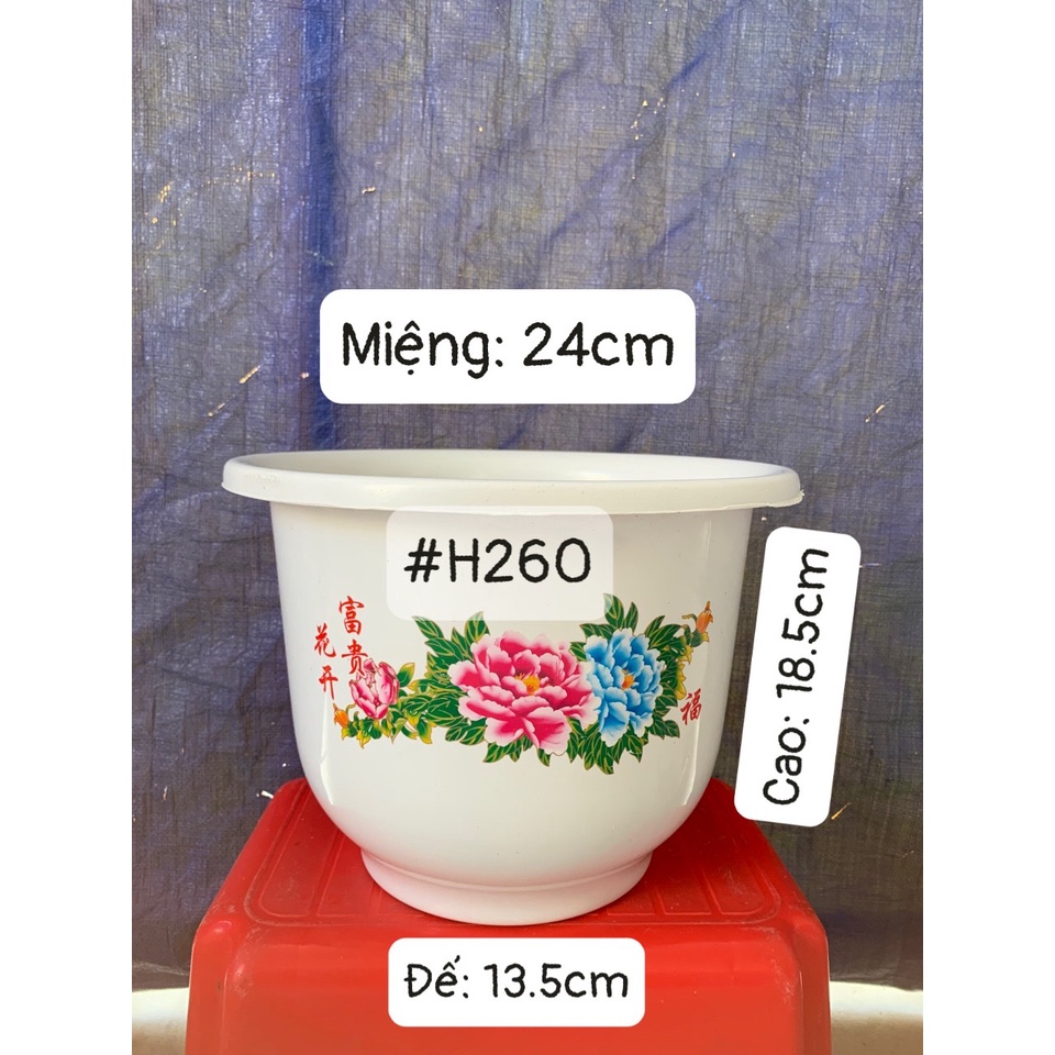 COMBO 15 CHẬU NHỰA HOA MẪU ĐƠN #H260 SIÊU ĐẸP (DỊCH TRUYỀN CHO CÂY, KEO LIỀN SẸO, BẠT PHỦ ĐẤT CHỐNG CỎ MỌC...)