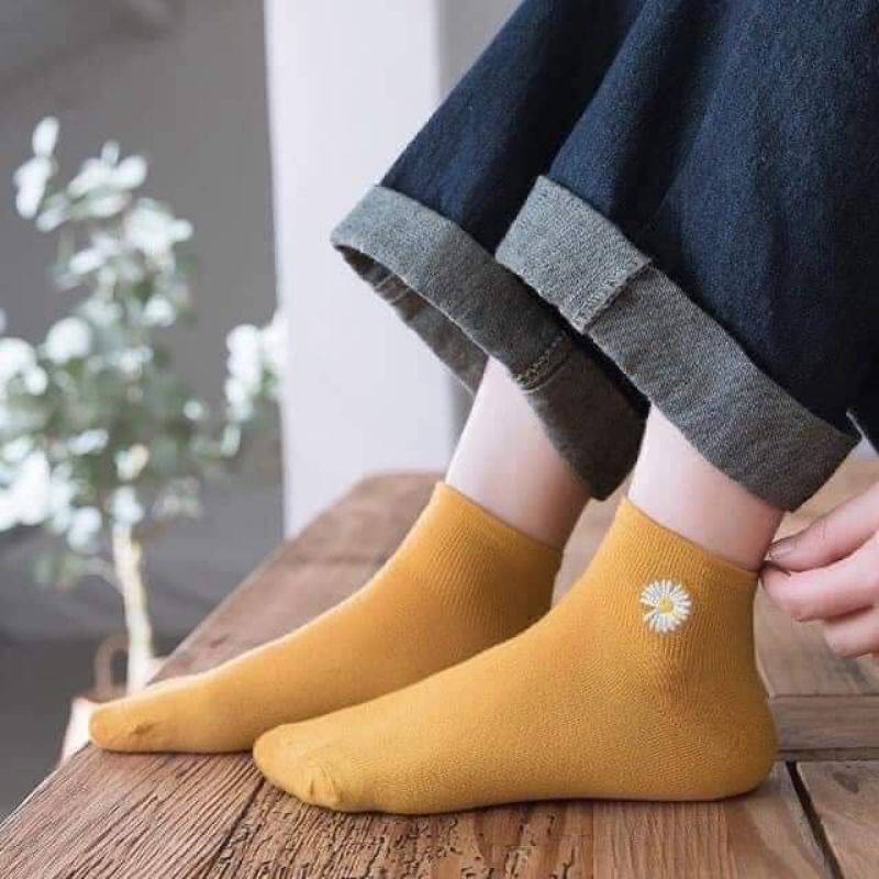 Tất cotton hoa cúc sét 10 đôi đủ màu rẻ bền đẹp luôn nè