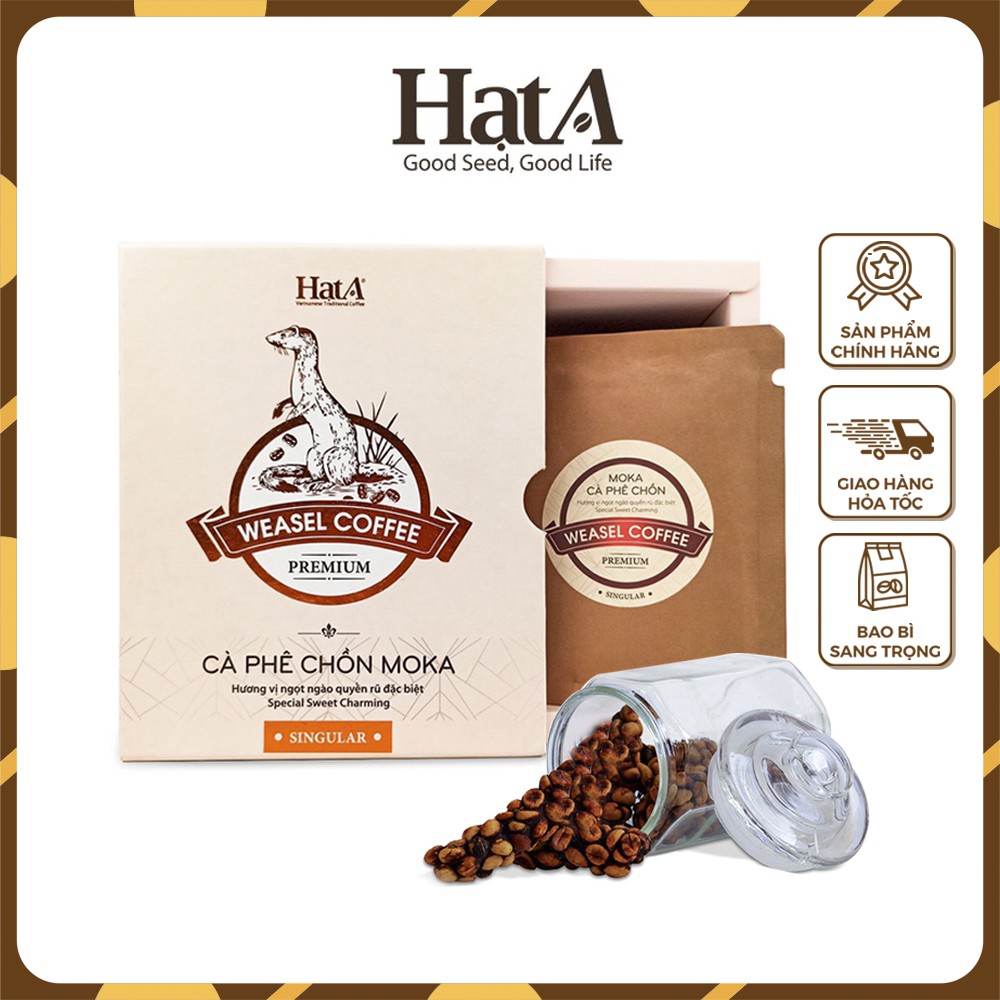 Cà phê chồn Moka Hạt A Cafe Premium Weasel Coffee vấn vương hương chocolate tuyệt hảo 120gr