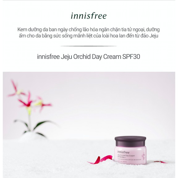 Kem dưỡng ban ngày chống lão hóa hoa lan tím innisfree Jeju Orchid Day Cream SPF30 PA++ 50
