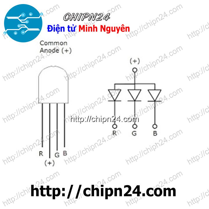 [10 CON] (TK1) Led 5mm TRONG 7 Màu RGB 4 chân A chung