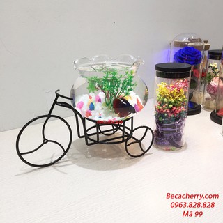 Bể Cá Mini Để Bàn Xe Đạp Cỡ To 99 ( Tặng Kèm Combo Phụ Kiện Trang Trí )