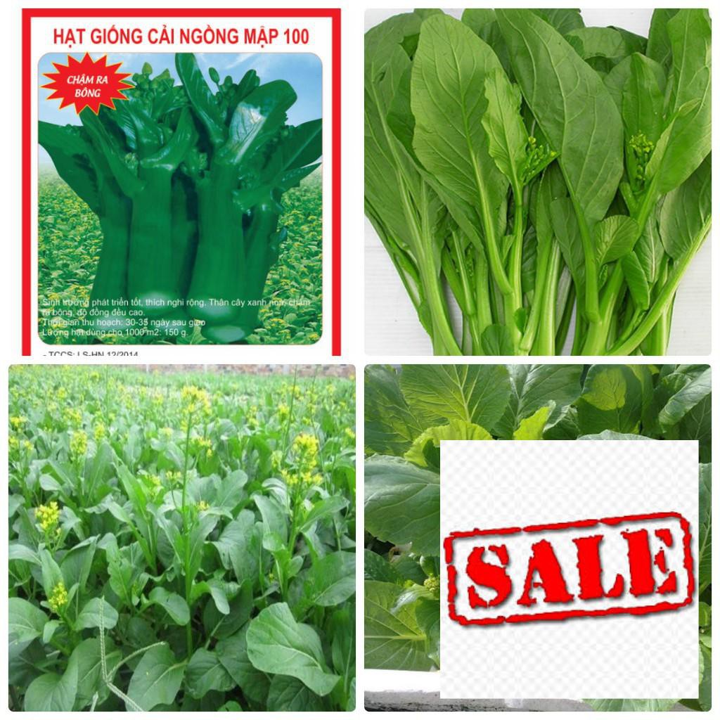 Gói 10 gr hạt giống cải ngồng xanh SALE