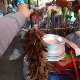 Chổi lông gà