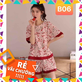 Đồ Bộ mặc nhà mùa hè nữ thun cotton Pijama cao cấp hàng đẹp chuẩn mã B06