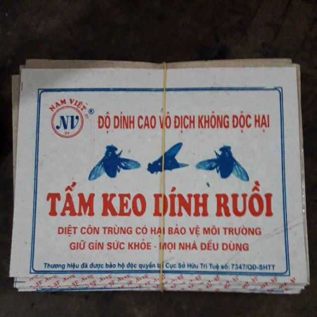 10 Keo dính ruồi siêu dính