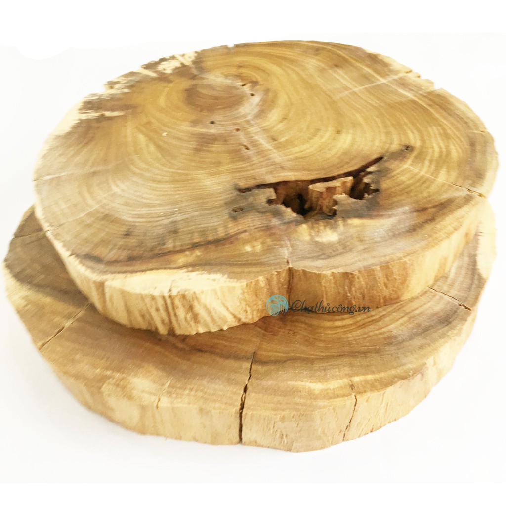 Khoanh gỗ lũa size to gỗ me tây / bình linh dùng trang trí, decor vintage, chụp ảnh KT 18-25cm (dày 2.5-3cm)