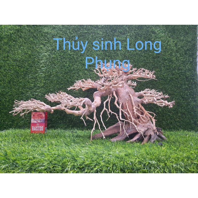 Lũa Bonsai hồ cá dáng Nghiên  N60cm,C30cm.