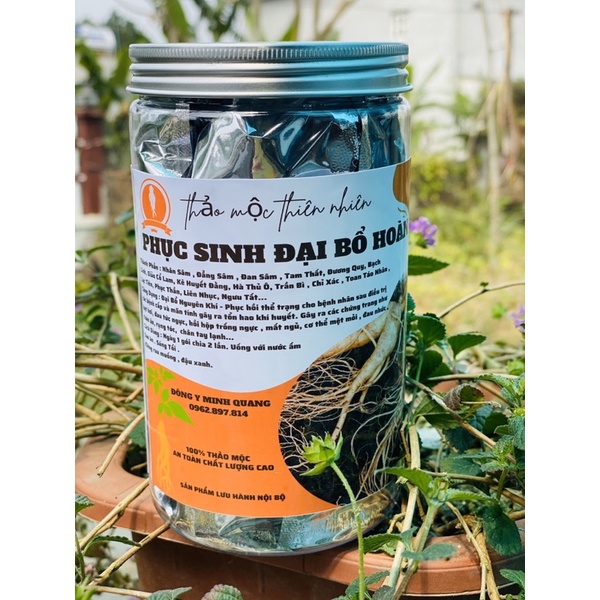 Phục sinh đại bổ hoàn