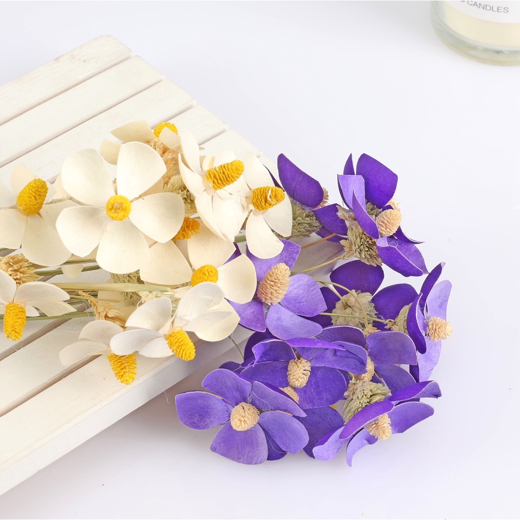 Hoa Cúc cánh bướm handmade Sấy Khô, Hoa khô decor trang trí