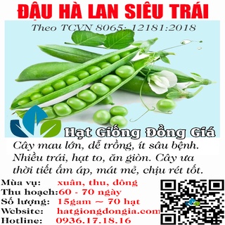 70 hạt giống đậu hà lan cao sản f1 ăn quả