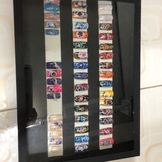 Thanh lý hộp mẫu móng học trong kelly pang