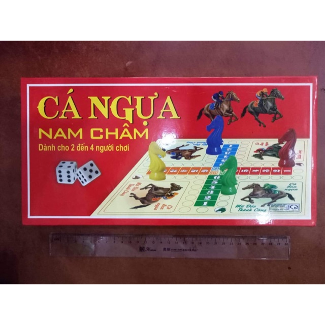 Bộ cá ngựa nam châm