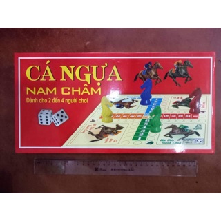 Bộ cá ngựa nam châm