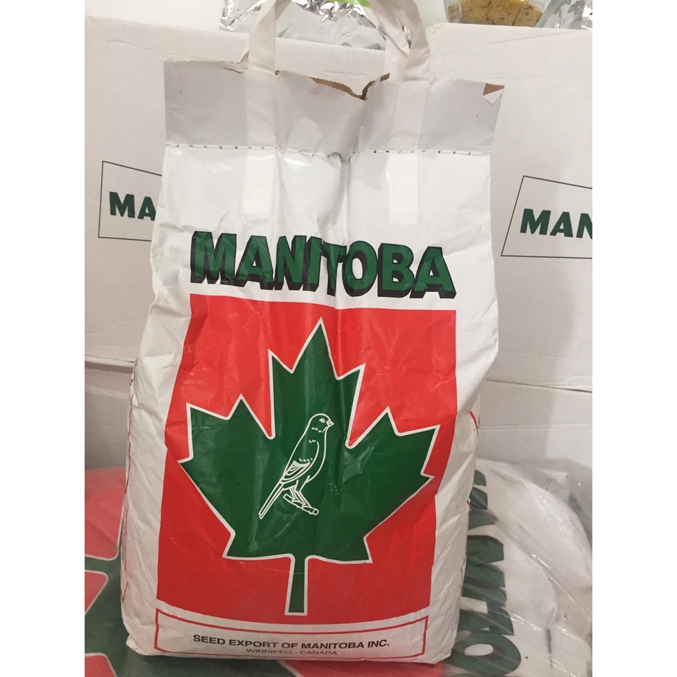Hạt trộn cho vẹt nhỏ Manitoba Ý bị 1kg