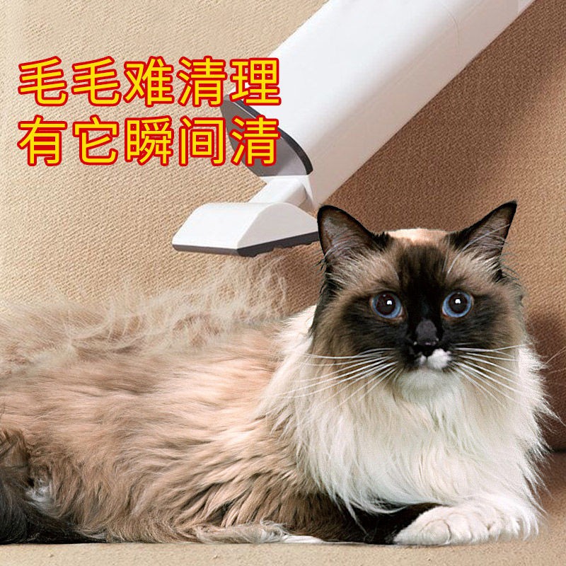 mẫu mới năm 2021✤PET Electric Macro Bed Cat Fur Dog Hair Buffer Petal Removal Mao Clever Cleaner