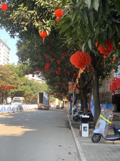 Đèn lồng trang trí loại 20cm
