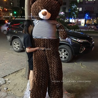 - gấu bông teddy 2m