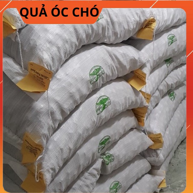 [Con Phát Triển #Thông Minh] Hạt Óc Chó Vàng Mỹ 500gr