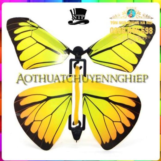 Ảo thuật bướm bay từ sách - Butterfly Magic Book  Set 5 con