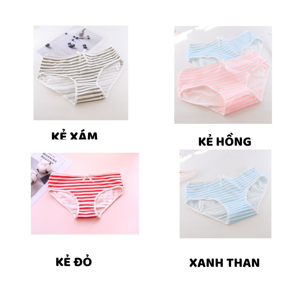 Quần Lót Nữ - Quần Lót Nữ Cotton thiết kế kẻ ngang siêu co dãn mềm mại thoáng mát DAN STORE MÃ 520