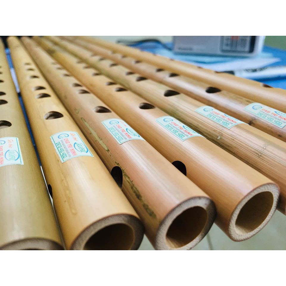 Sáo nứa Bắc