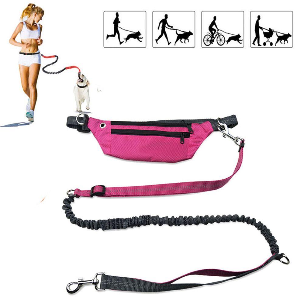 Dây Dắt Thú Cưng Đi Dạo Phản Quang Tùy Chỉnh An Toàn Tiện Dụng