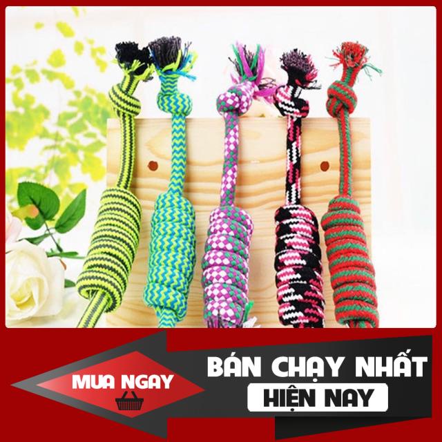 Dây cho cún tập nhai nhiều mầu sắc 0