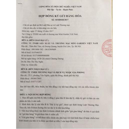 Son Roses Siêu Lỳ | BigBuy360 - bigbuy360.vn