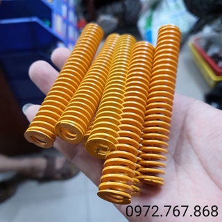 Lò xo khuôn mẫu 16*100