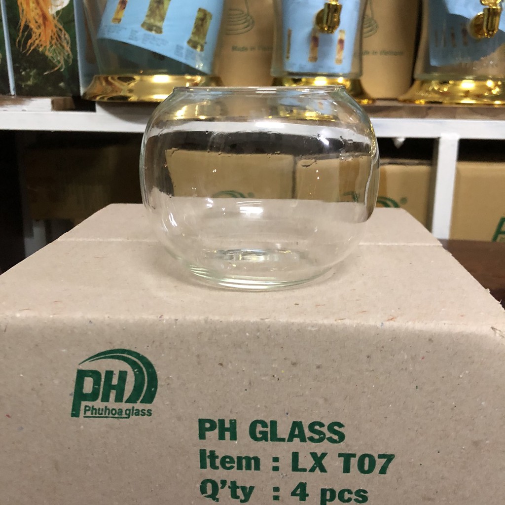 BỂ CÁ THỦY TINH,HỒ CÁ MINI,CHẬU CÂY THỦY SINH ĐỂ BÀN - MẪU T07 và T01