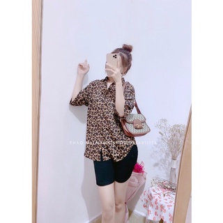 Set áo sơ mi quần ngố