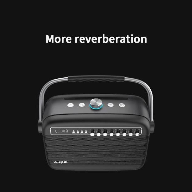 Loa karaoke WKing K9 xách tay, bluetooth, tặng kèm 2 micro không dây, công suất 100W