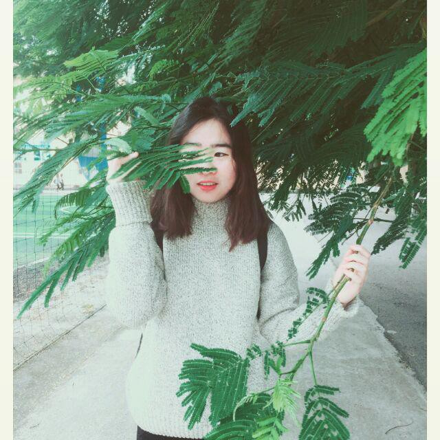 Áo Len Lật Tay Hàng Đẹp