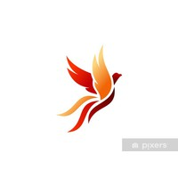 Túi Xách và Giầy Wings_ Tiên