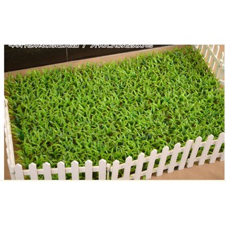 Thảm cỏ nhựa 25x25