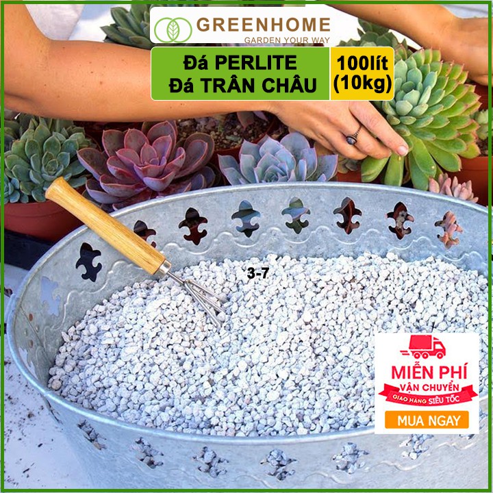 [Freeship 70K] Đá Perlite 100l (10kg), đá trân châu trồng hồng, sen đá, thuỷ canh giàu khoáng chất, tăng độ tơi xốp