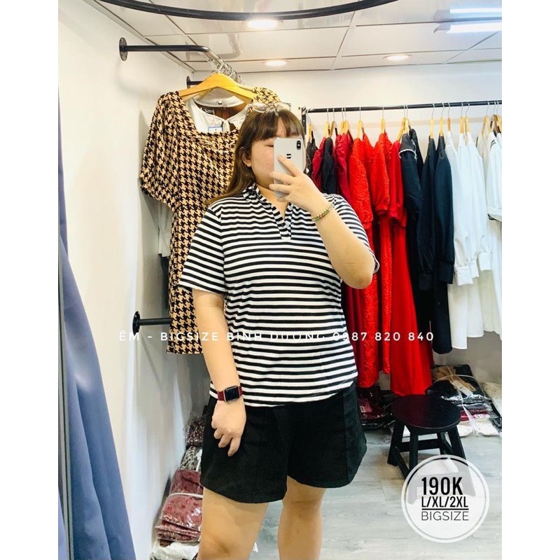 Áo Thun có cổ [Bigsize] | BigBuy360 - bigbuy360.vn