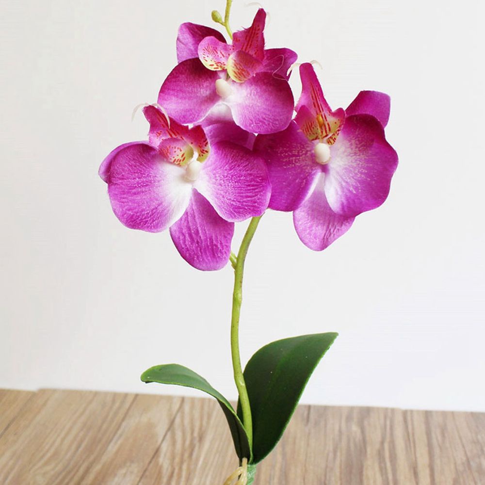 Hoa lan giả bằng lụa 29cm nhiều màu trang trí nhà cửa/tiệc cưới