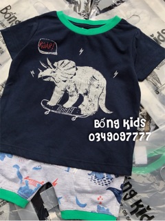 Bộ Hè Bé Trai Khủng Long Bcollection