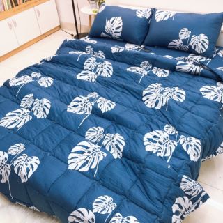 Bộ chăn ga gối cotton đũi