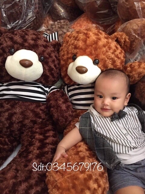 Gấu bông teddy khổ 1m cao 80cm hàng VNXK