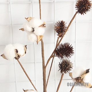 Cành Cây Khô Nhân Tạo Trang Trí Tuyệt Đẹp