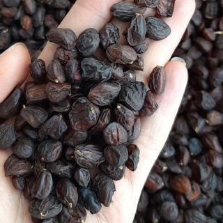 100 HẠT DỔI NẾP CỔ THỤ LOẠI 1