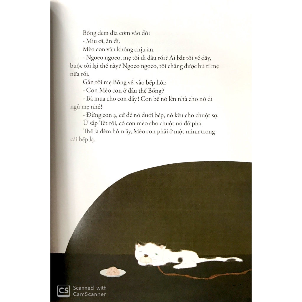 Sách - Cái Tết Của Mèo Con
