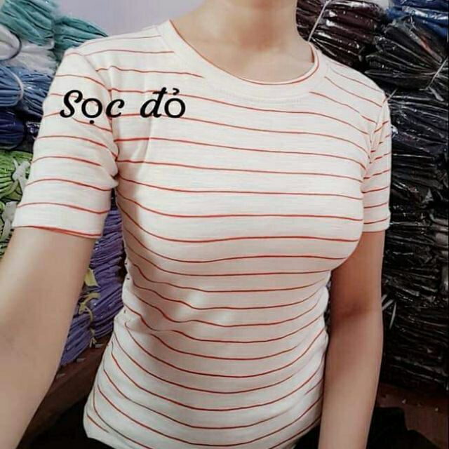 Áo tay ngắn sọc