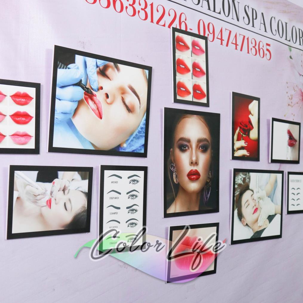TRANH PHUN XĂM SPA TRANH DÁN PHUN XĂM SIÊU ĐẸP GIÁ RẺ SEOLIP3 ÁNH DƯƠNG SIÊU BỀN BẢO HÀNH 2 NĂM