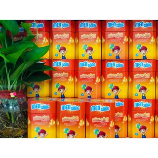 Men Sống Hồng Sâm ( Men vi sinh)