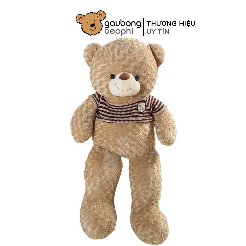 Gấu teddy áo len khổ vải 1m8 shop gấu bông béo phì