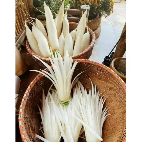 Củ cải khô, củ cải sấy khô ngon giòn Đặc sản Tây Bắc